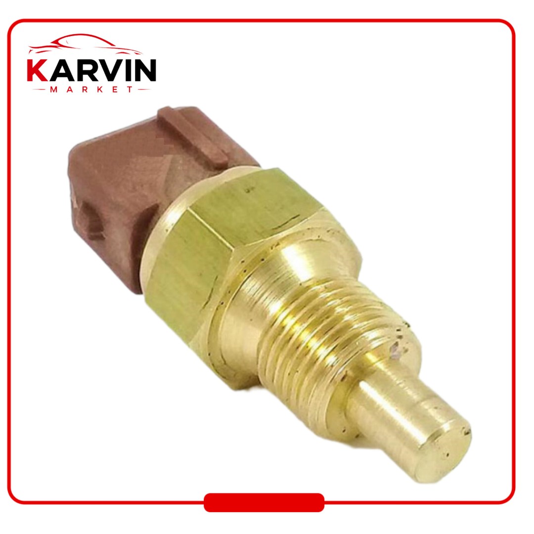 فشنگی آب قهوه ای پژو 405