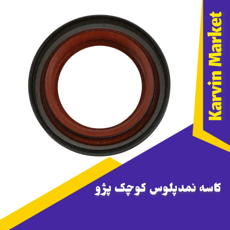 کاسه نمدپلوس پژو405 بزرگ